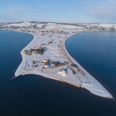 Апартаменты Dolphin View Hillockhead Rosemarkie Экстерьер фото